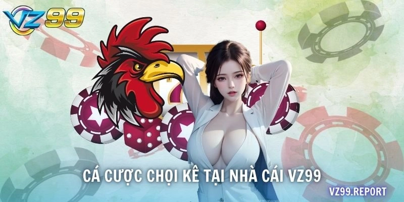 Cá cược chọi kê tại nhà cái VZ99