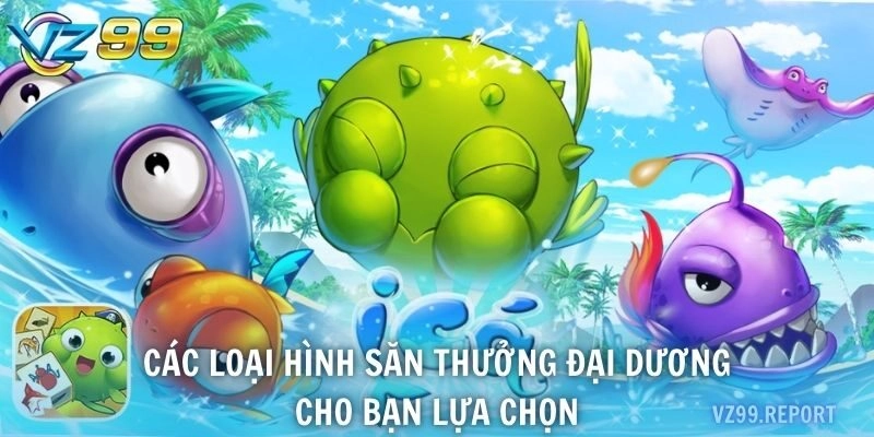 Các loại hình săn thưởng đại dương cho bạn lựa chọn