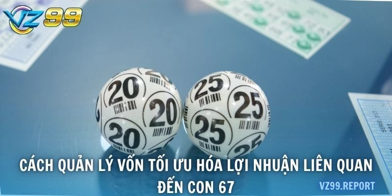 Cách quản lý vốn tối ưu hóa lợi nhuận liên quan đến con 67