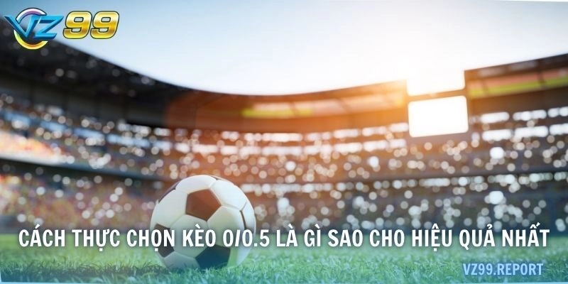Cách thức chọn kèo 0/0.5 là gì sao cho hiệu quả nhất