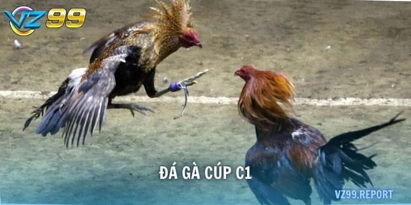 đá gà Cúp C1
