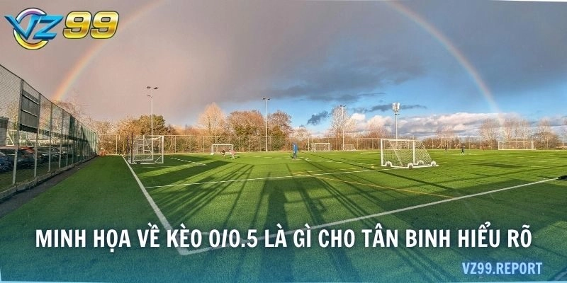 Minh họa về kèo 0/0.5 là gì cho tân binh hiểu rõ