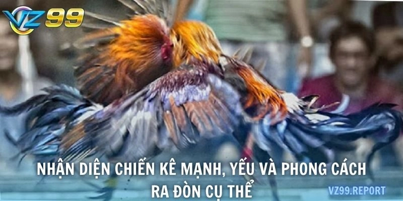 Nhận diện chiến kê mạnh, yếu và phong cách ra đòn cụ thể