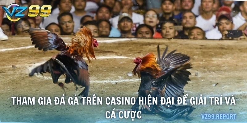 Tham gia đá gà trên casino hiện đại để giải trí và cá cược